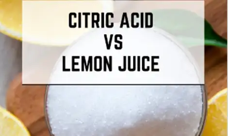 Lemon Juice Powder vs Citric Acid Explained